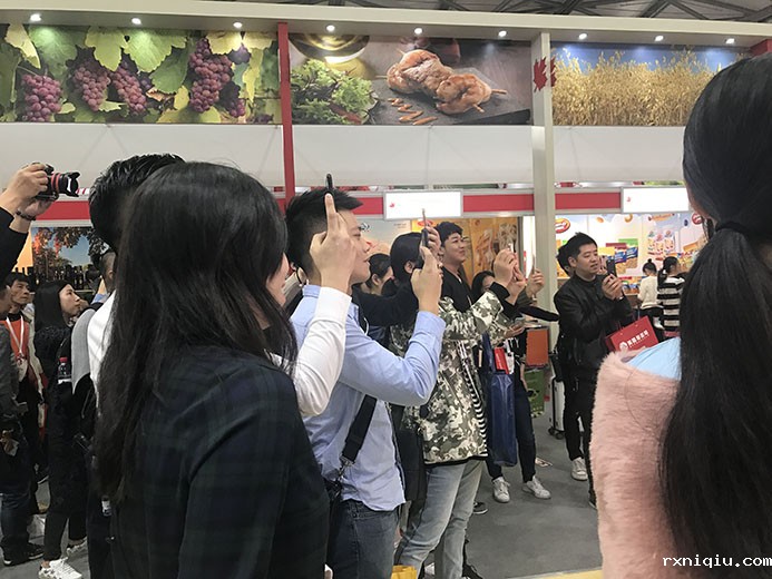 互动游戏，大屏互动游戏，手机互动游戏，小游戏定制，互动游戏开发